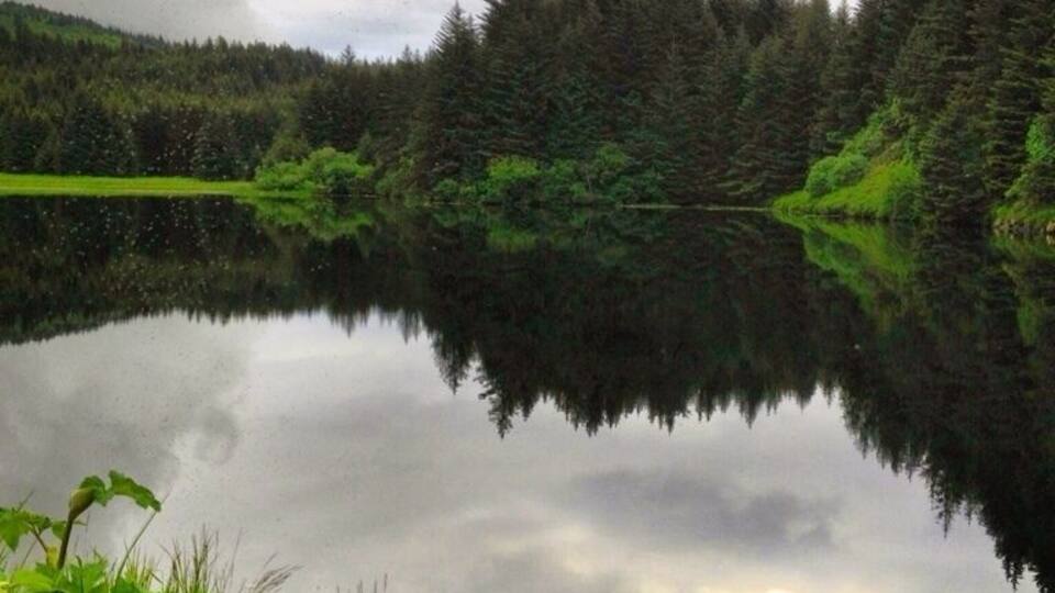 A calm lake surrounded by dense forest and a cloudy sky.
