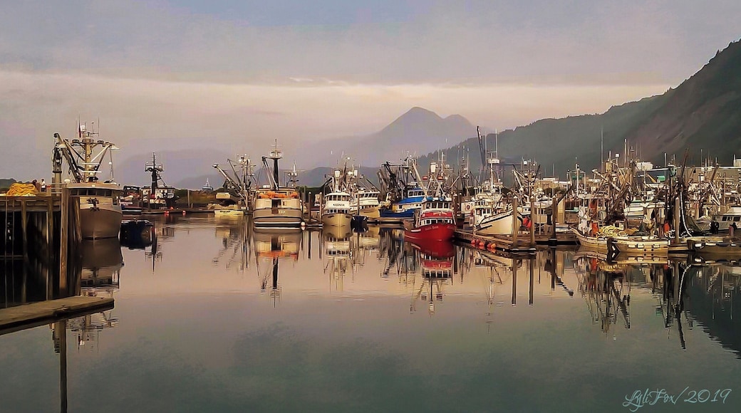 Kodiak is one of the biggest fishing towns in the US. Many of the local charters and smaller fishing boats are docked at St Paul Harbor.