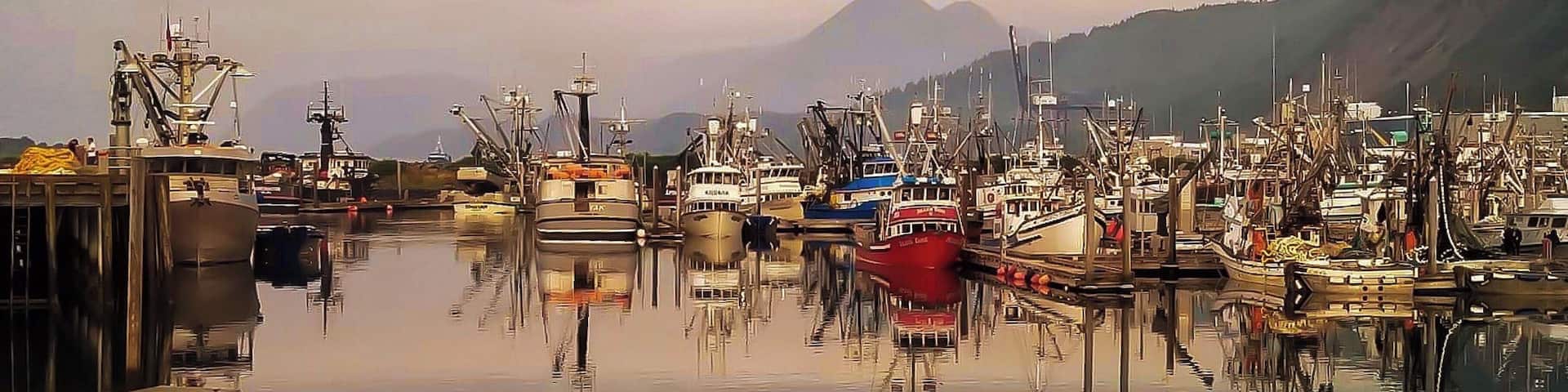 Kodiak is one of the biggest fishing towns in the US. Many of the local charters and smaller fishing boats are docked at St Paul Harbor.
