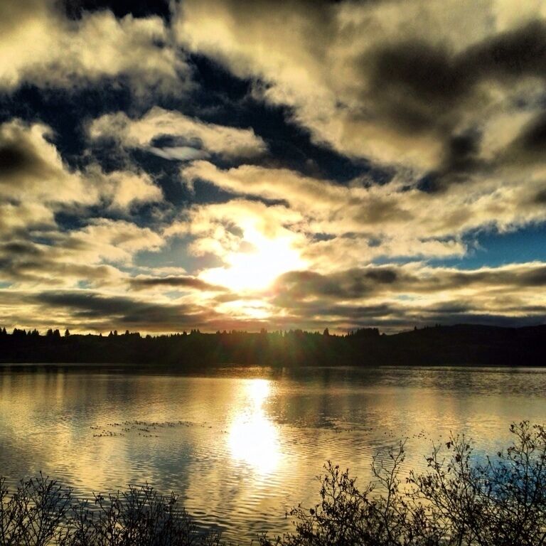 A sunset over a calm lake with a silhouette of trees in the background.
