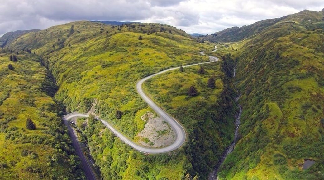 The road to Anton Larsen Bay