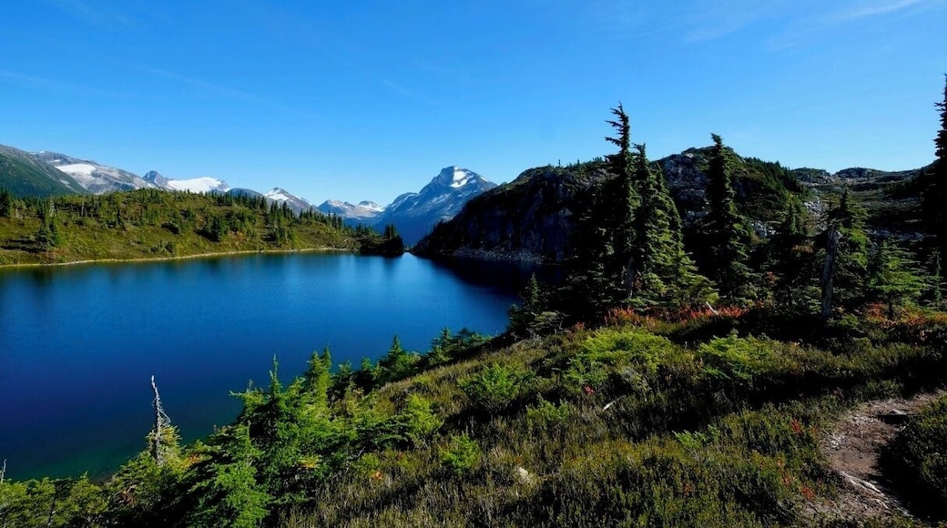 Small lake above M Gurr lake. Bella Coola, BC