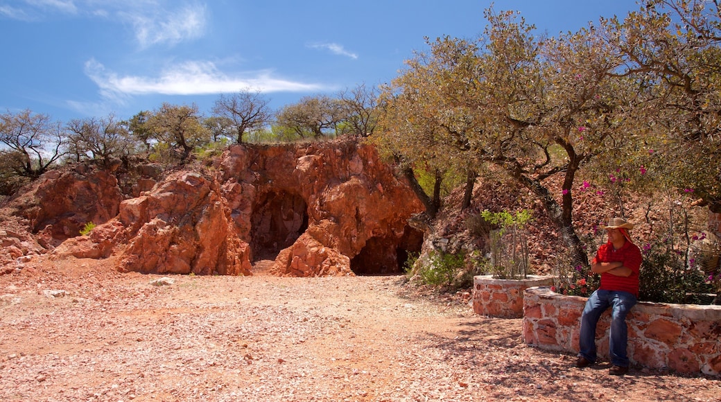 Queretaro featuring desert views as well as an individual male