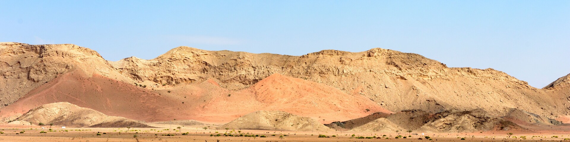 Beautiful View of Sharjah Desert with Trees and Fence.