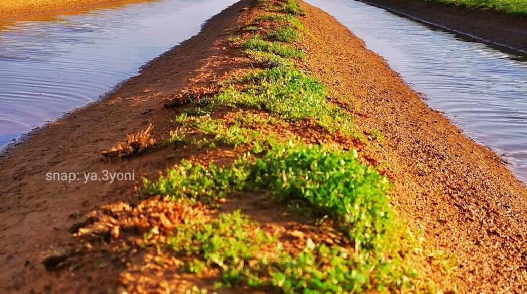 North of saudi Arabia