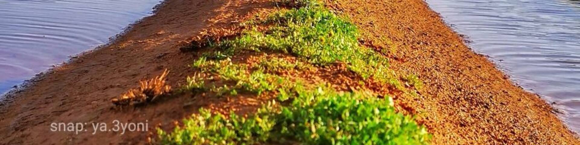 North of saudi Arabia