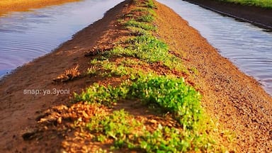 North of saudi Arabia