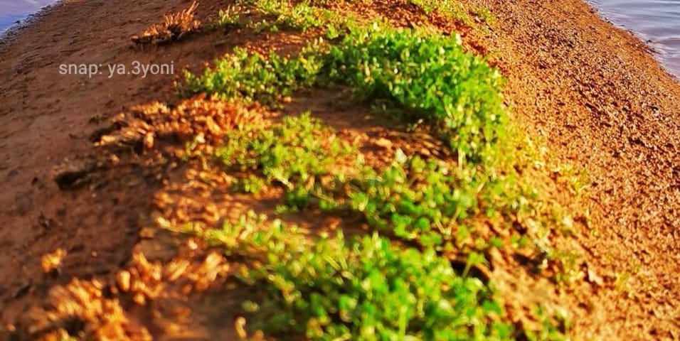 North of saudi Arabia