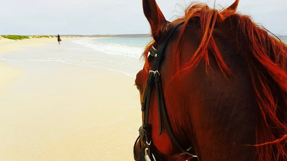 Horse riding Cape Verde