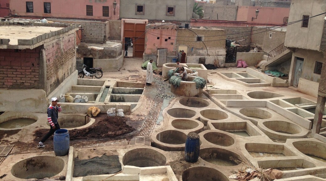 A local man brought me through the streets of the souks to the Berber tanneries. It was actually very interesting and definitely an experience, but be prepared to pay at the end, even if you didn't ask for the tour!