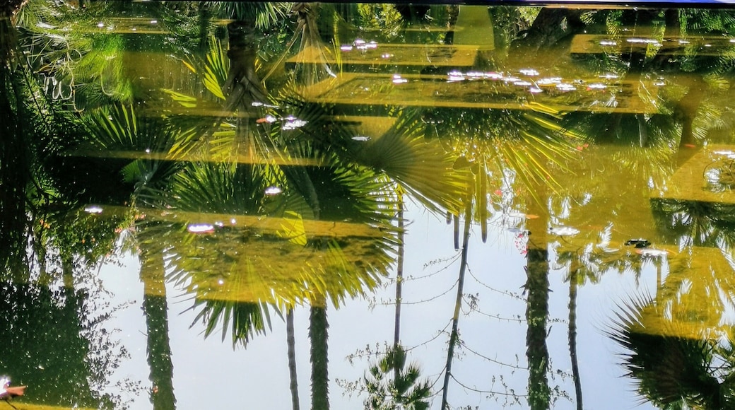 Yves Saint Laurent Garden
Marrakech