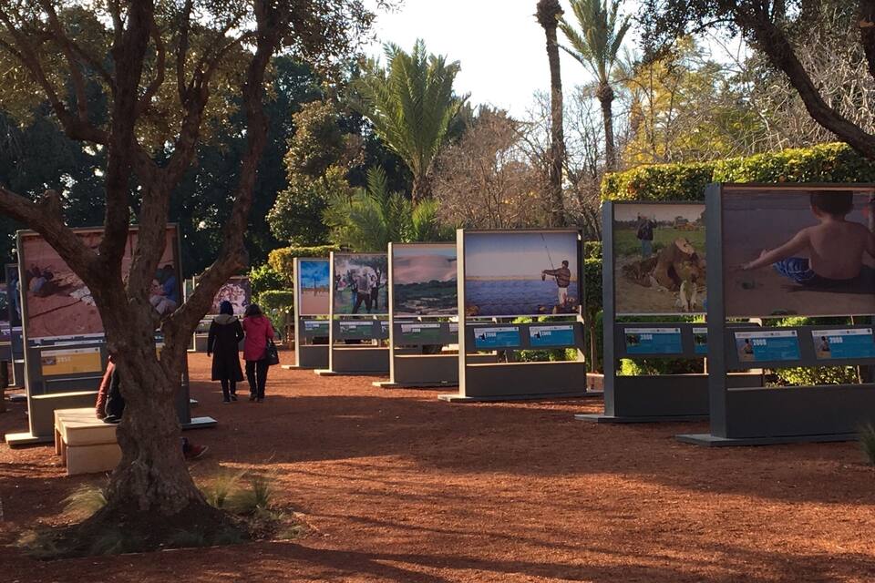 Un parc doté de panneaux d’information, d’arbres et d’un sentier de terre.