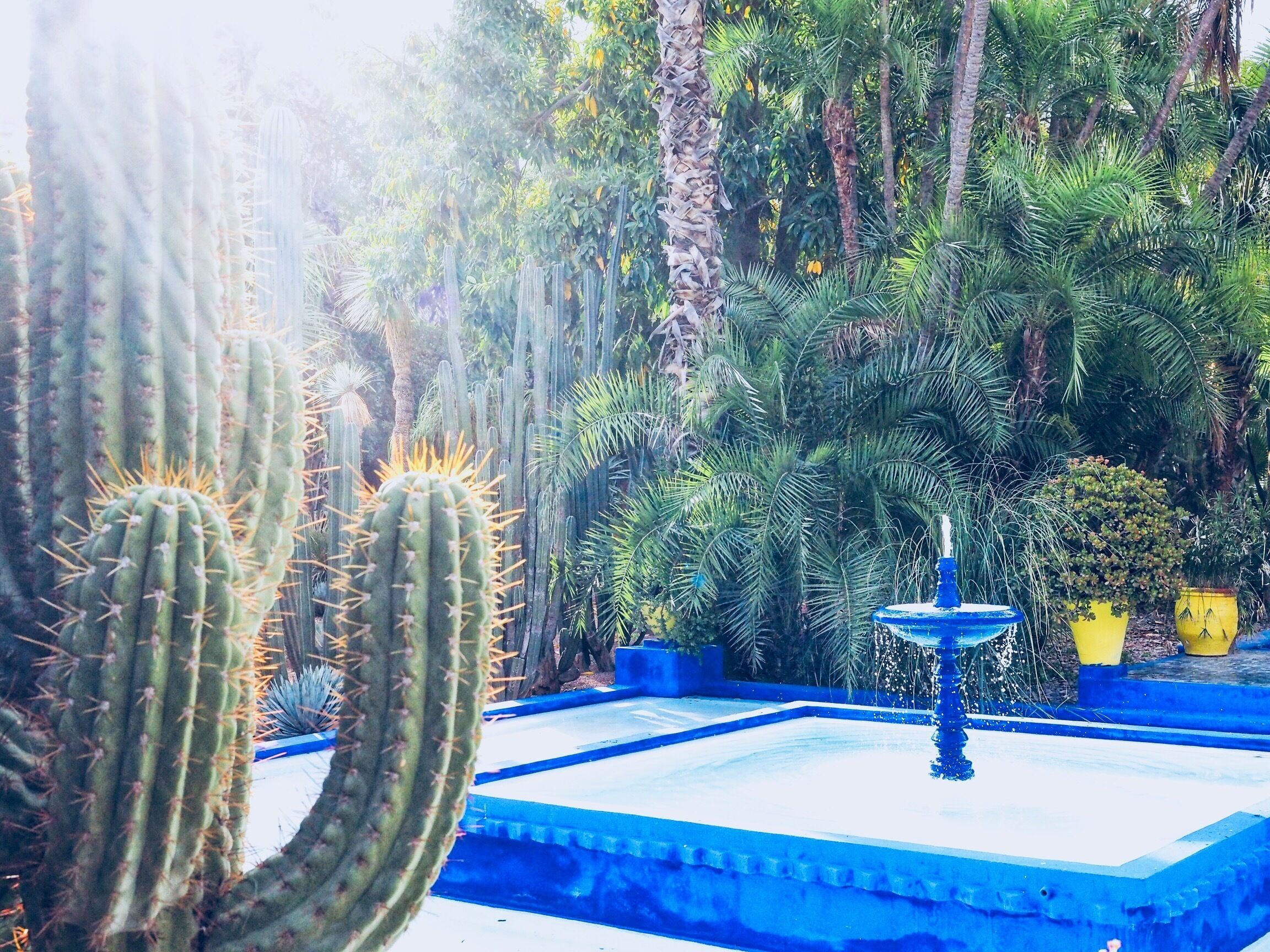 Beautiful Gardens in the center of Marrakech Morocco