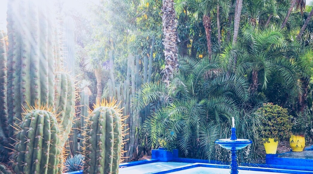 Beautiful Gardens in the center of Marrakech Morocco