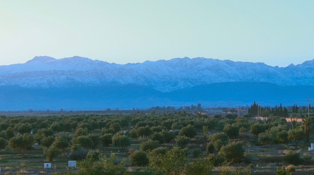 From our balcony looking out towards The Atlas Mountains