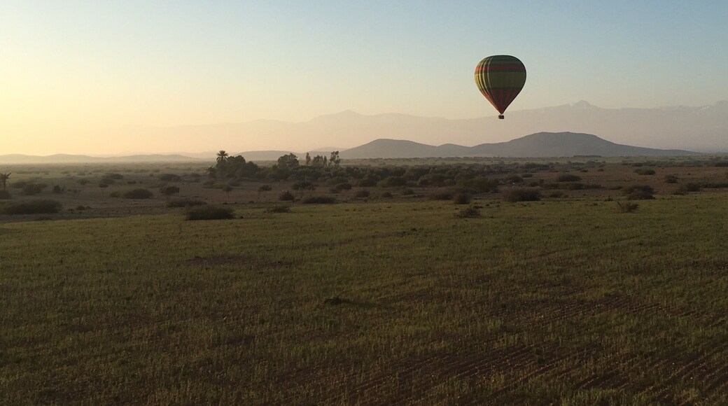 We chose to take a balloon ride whilst in Marrakesh recently. Absolutely fantastic experience and a must for anyone who likes to take photos. I captured some great shots of the beautiful scenery. #marrakesh #hotairballoon #sunrise #nature #scenery