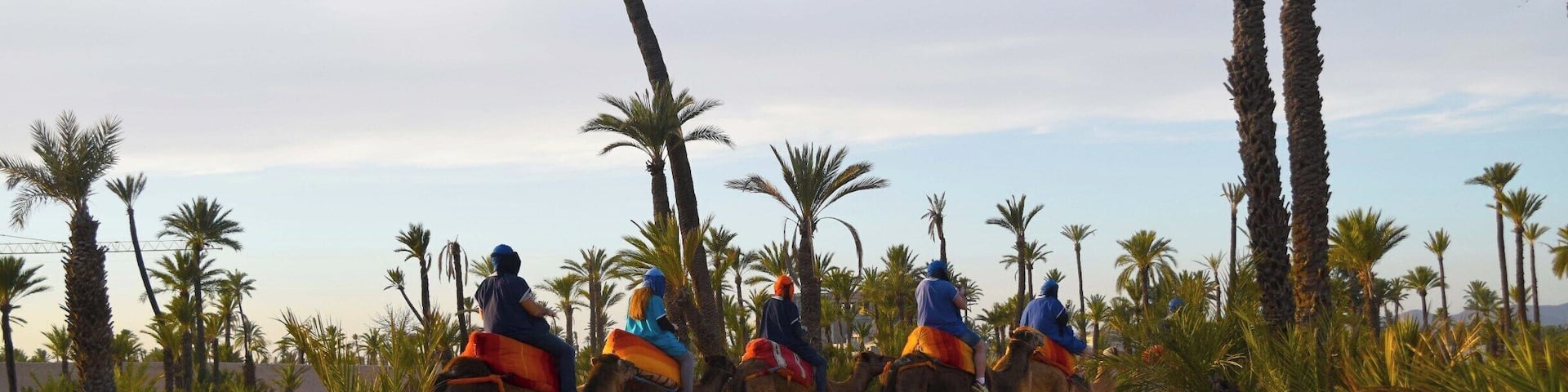 Palmeraie (palm grove) is a palm oasis of several hundred thousand trees in north-east of Marrakesh, Morocco. One can get away from the city and ride camels here. The site boasts of over 100,000 date palms, as well as olive and fruit trees.