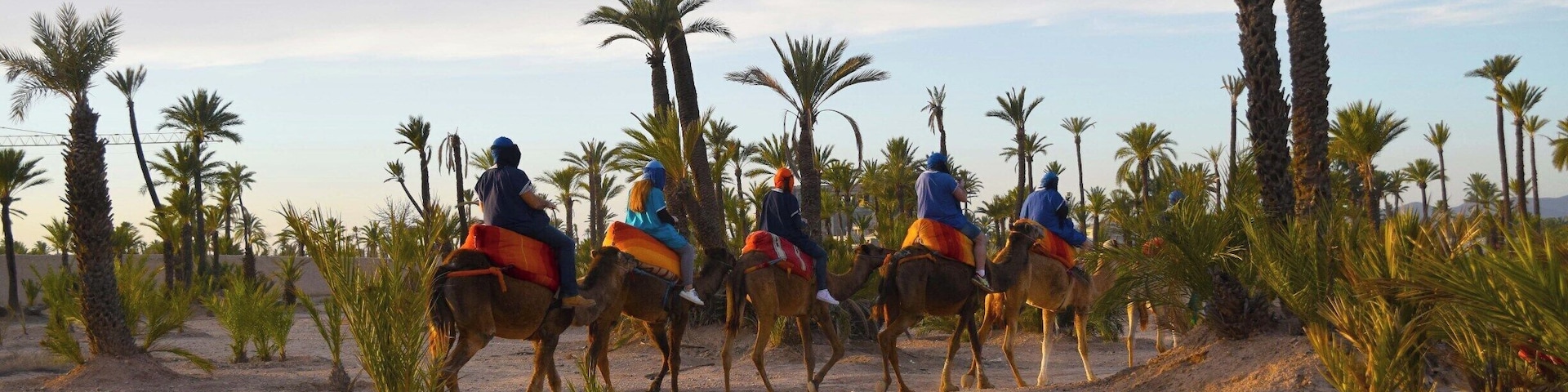 Palmeraie (palm grove) is a palm oasis of several hundred thousand trees in north-east of Marrakesh, Morocco. One can get away from the city and ride camels here. The site boasts of over 100,000 date palms, as well as olive and fruit trees.