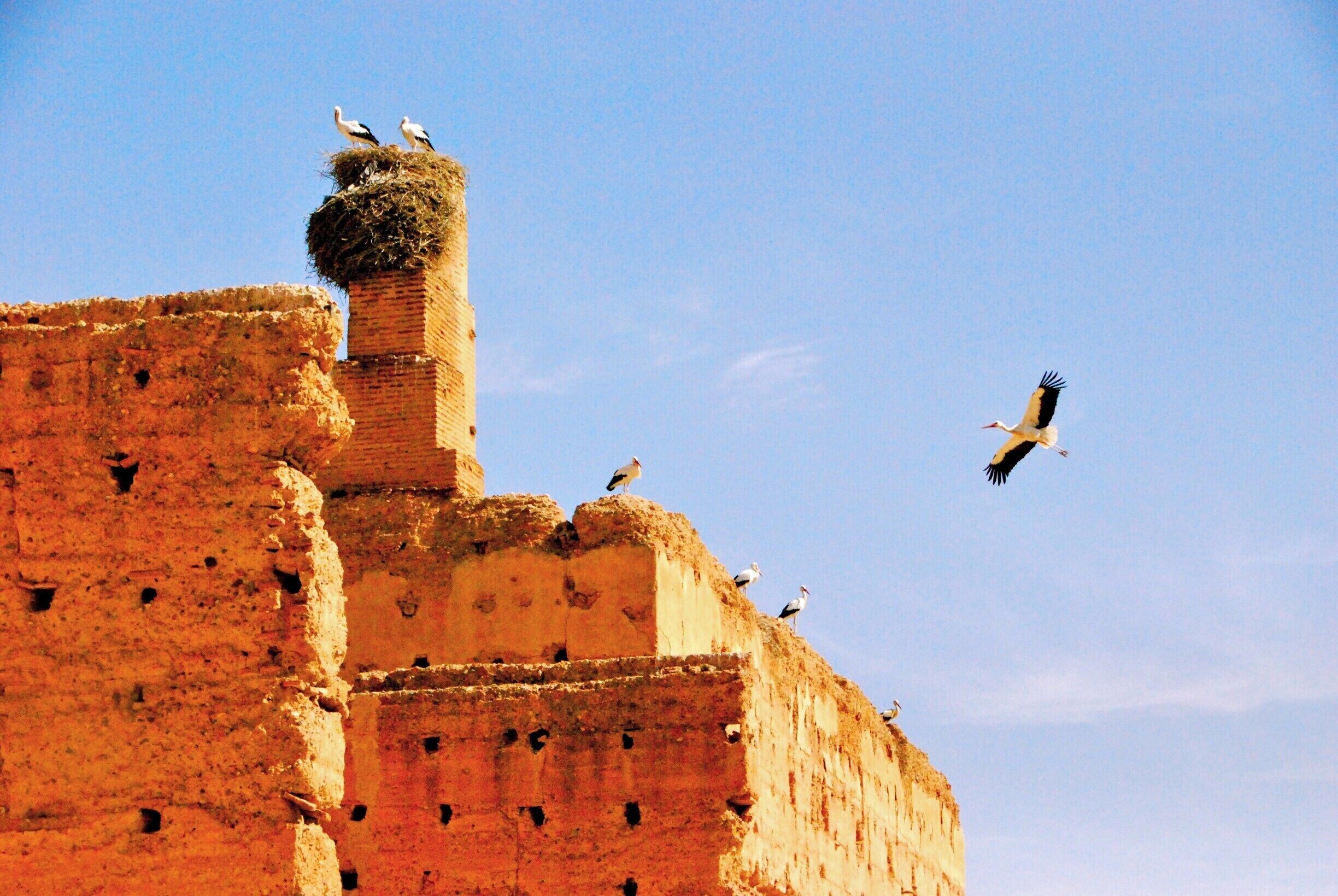 Una torre de ladrillo histórico con aves posadas en la parte superior y volando en el cielo.