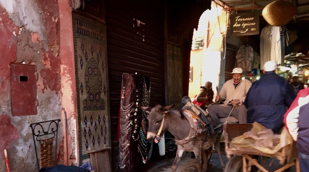 Donkey traffic jam in the streets of the Medina.
#Marrakech #Morocco #Medina #DonkeyCarts