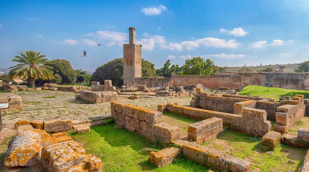 جهة الرباط سلا القنيطرة
