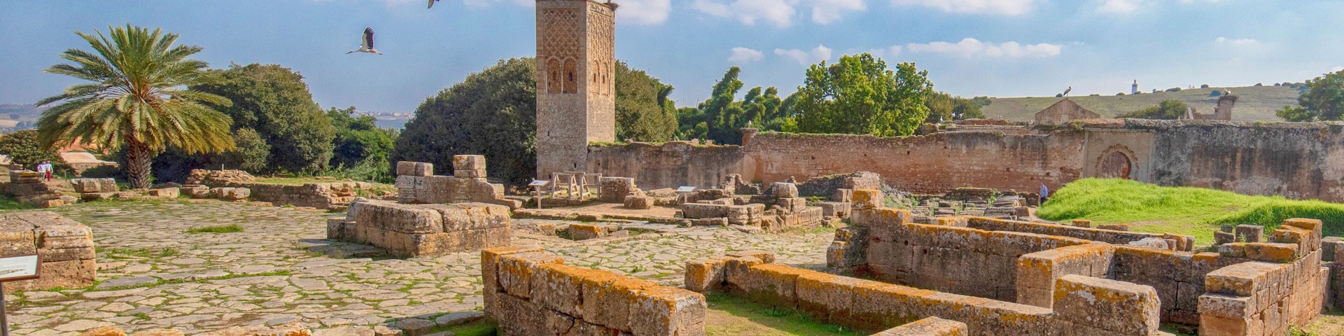 Ancient ruins with stone blocks, a palm tree, and a tower in the background.