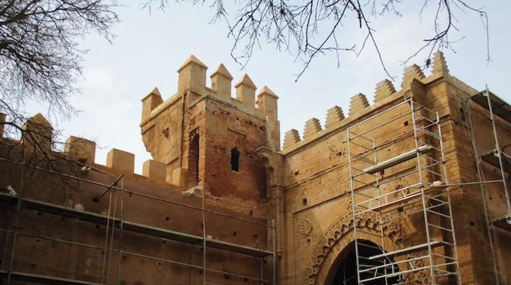 The main gate to the Chellah Necropolis, under restoration.
Originally the Port of Sala, its residents took the name of their town and reestablished themselves across the estuary. Chellah was used as a burial site for the Merinid sultans during the 13th-14th centuries.
https://davenotravels.blog