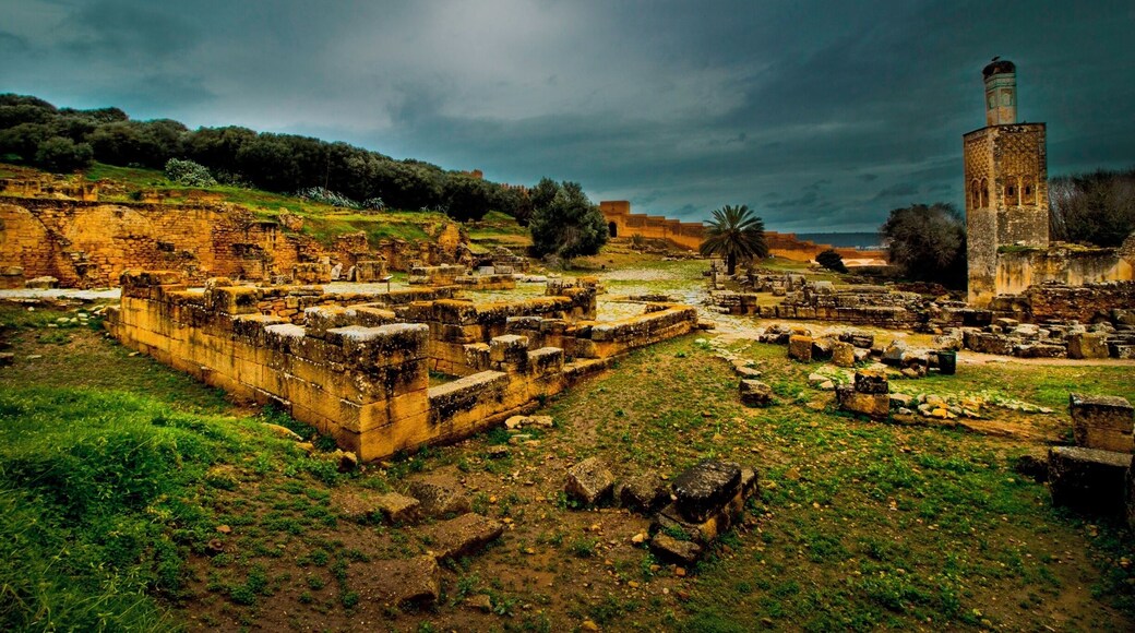 Roman ruins abandoned thousands of years ago now home to cats and storks.