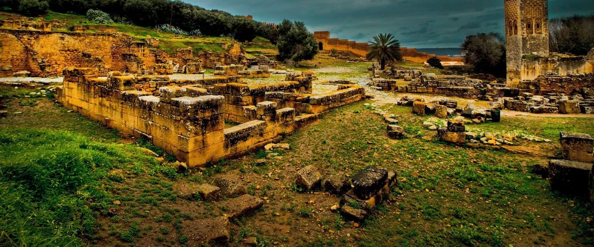 Roman ruins abandoned thousands of years ago now home to cats and storks.