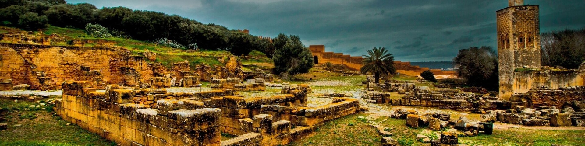 Roman ruins abandoned thousands of years ago now home to cats and storks.