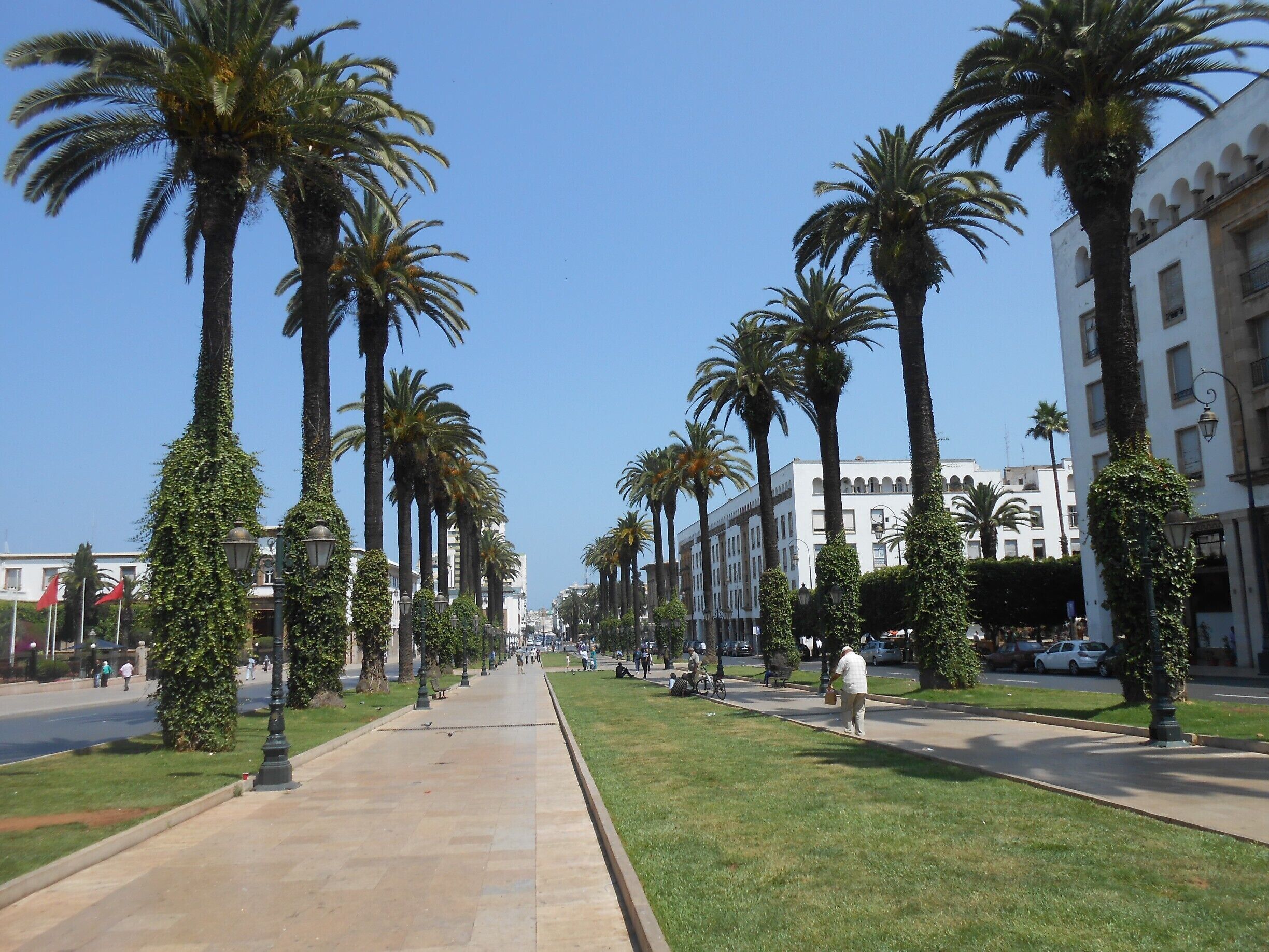 The Parliament Avenue. 