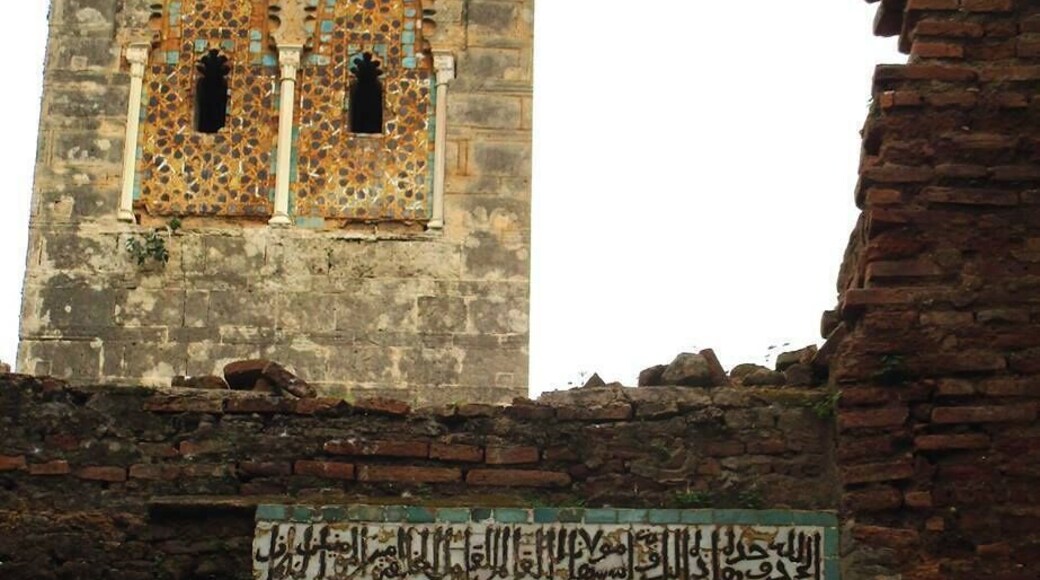 The minaret of the Abou Youssef Yacoub mosque. I didn't notice until I posted this photo, that the fretwork on this minaret (dating to the 13tj-14th cen.) is the same style as the Hassan II Mosque in Casablanca (which is a modern mosque, built in traditional style).
https://davenotravels.blog