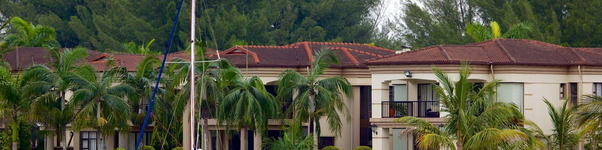 A Goody boat docked near a house with a red-tiled roof, surrounded by palm trees and a rocky shoreline.