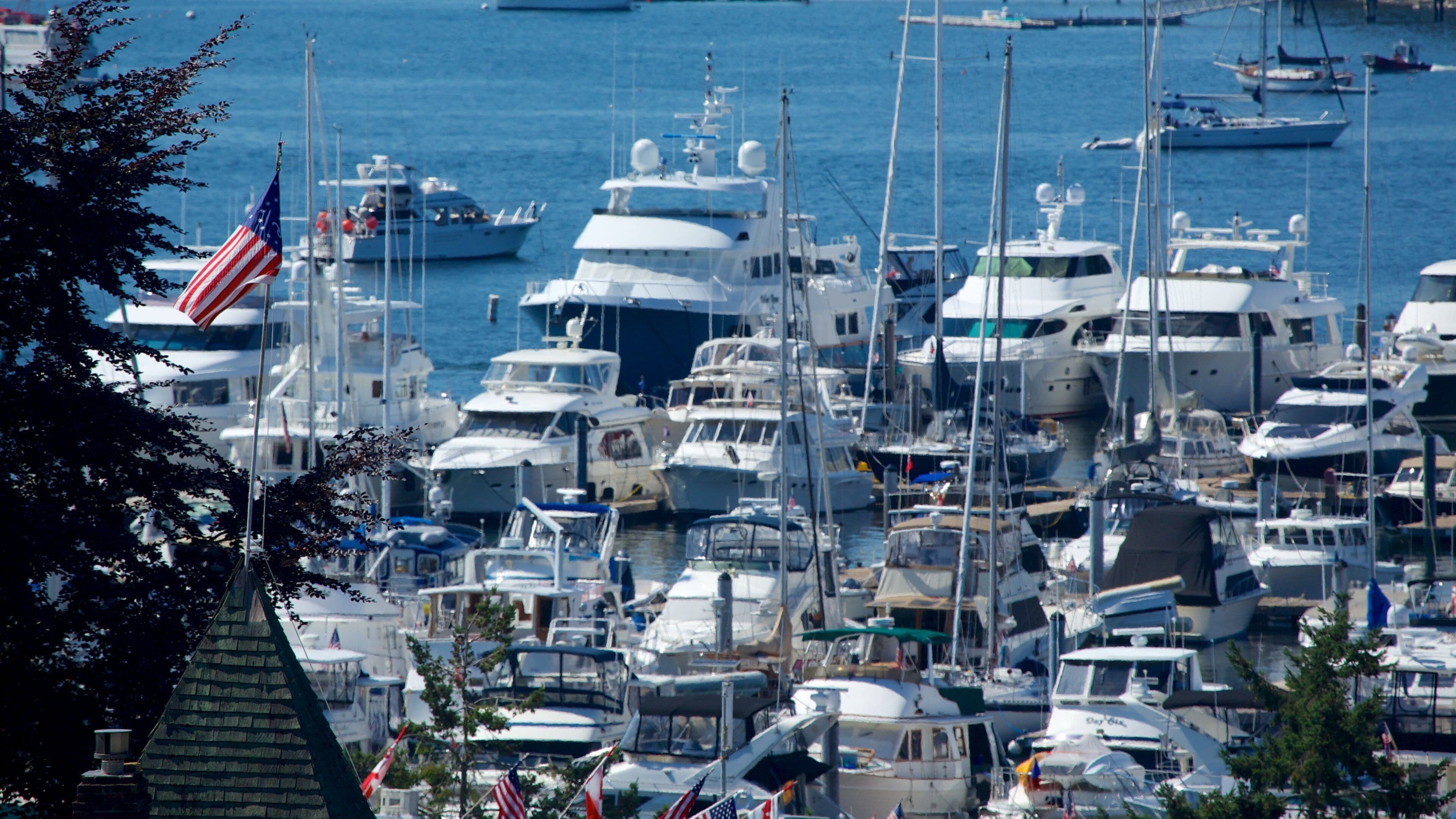 Roche Harbor caratteristiche di porto turistico, baia e porto e vista della costa