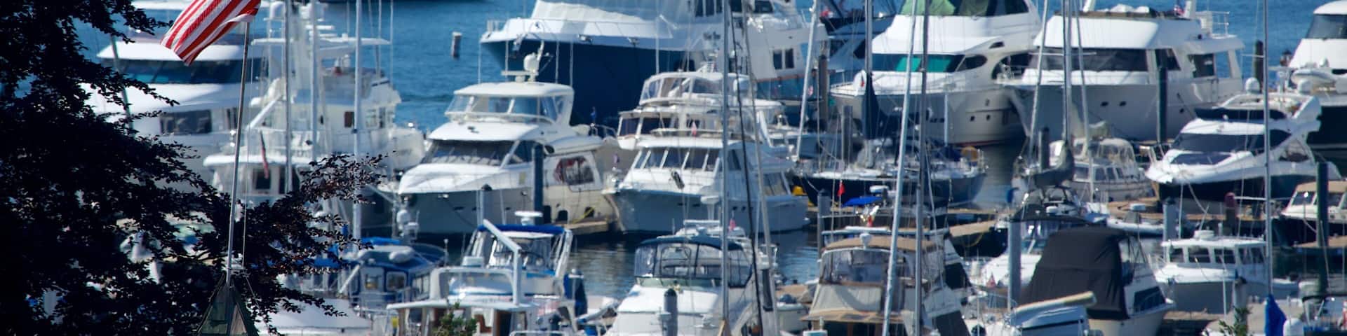 Roche Harbor which includes boating, a marina and a bay or harbor