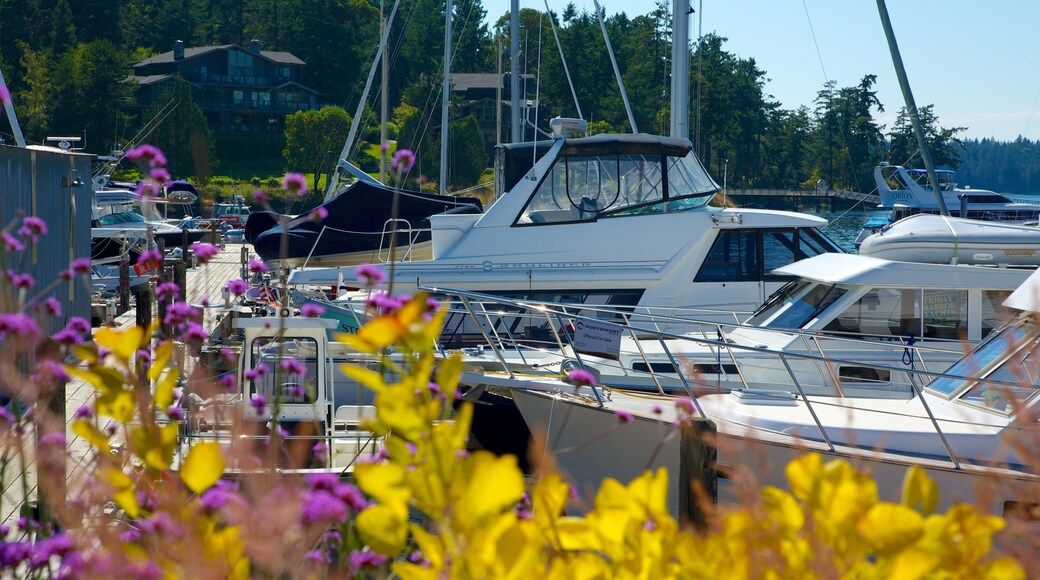 San Juan che include fiori, località costiera e giro in barca