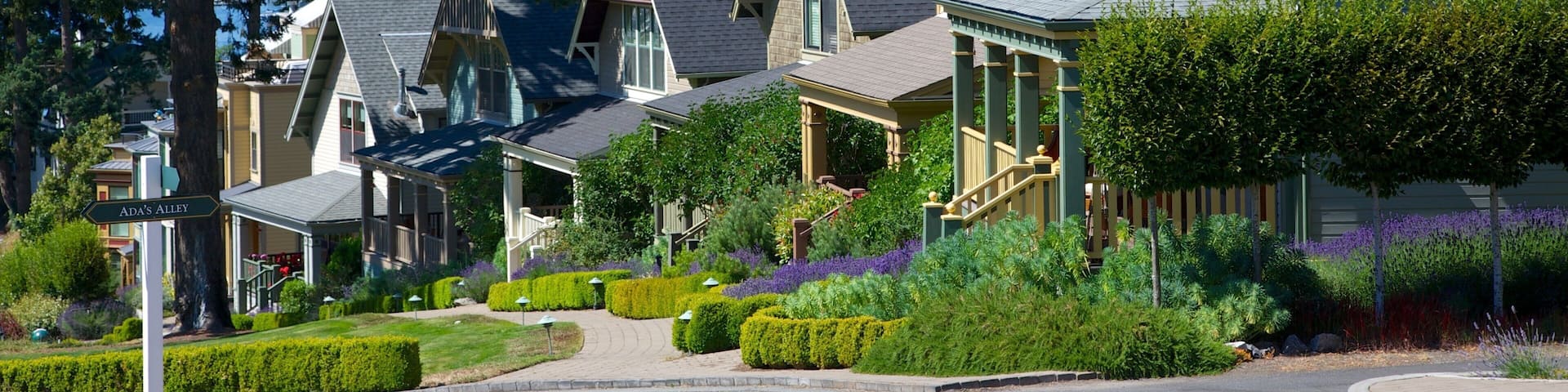 San Juan Island which includes street scenes, a small town or village and a house