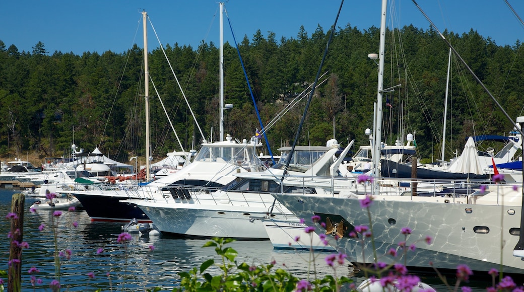 Roche Harbor mostrando una bahía o puerto, navegación y una marina