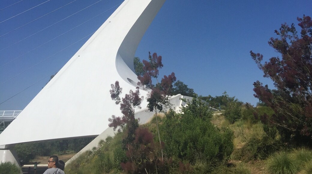 This is the Sundial Bridge that crosses the Sacramento River at the Turtle Bay Discovery Park in Redding, California.