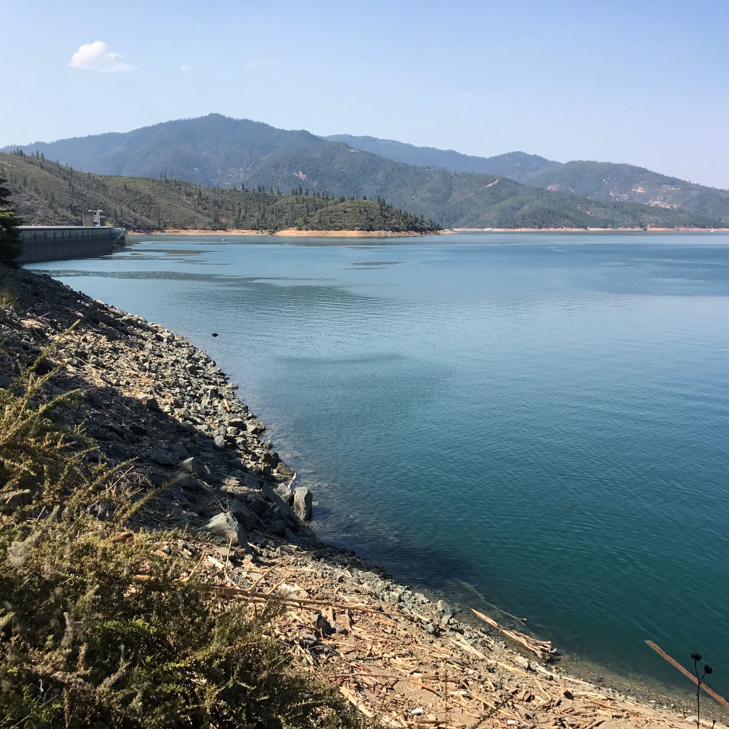 Amazing amount of driftwood...in the background you can see the dam.  Lovely and clean beach to swim 