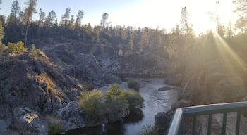 Hang out spot with a friend swimming and sun tanning