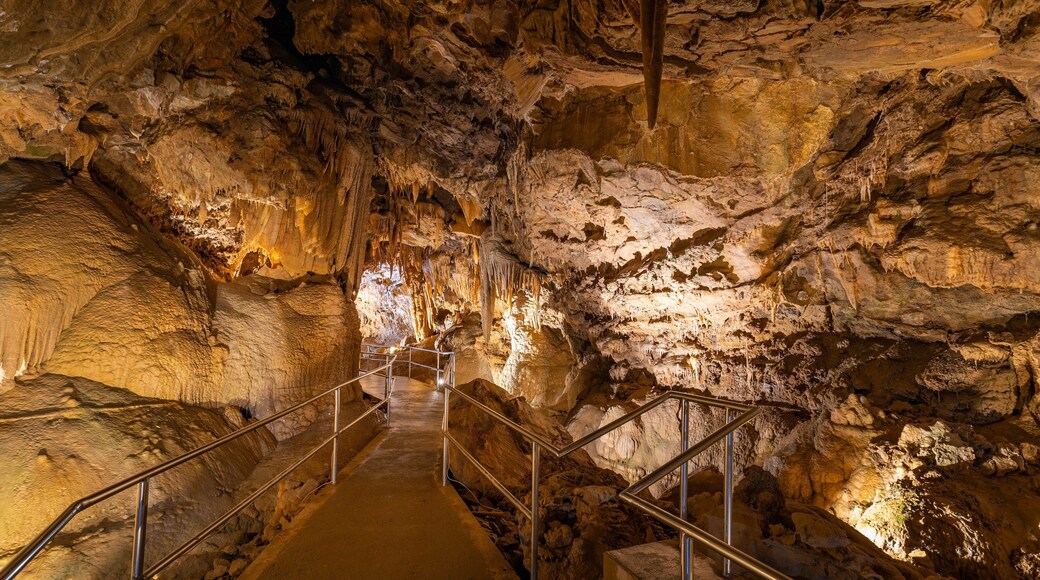 Redding showing caves