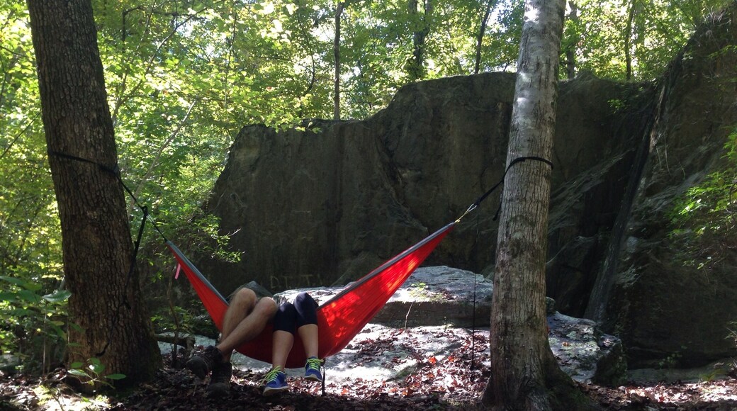 Umstead backs up to the airport property where there are a ton of biking trails! We found this right on the edge of the park. This trail followed Crabtree Creek.
