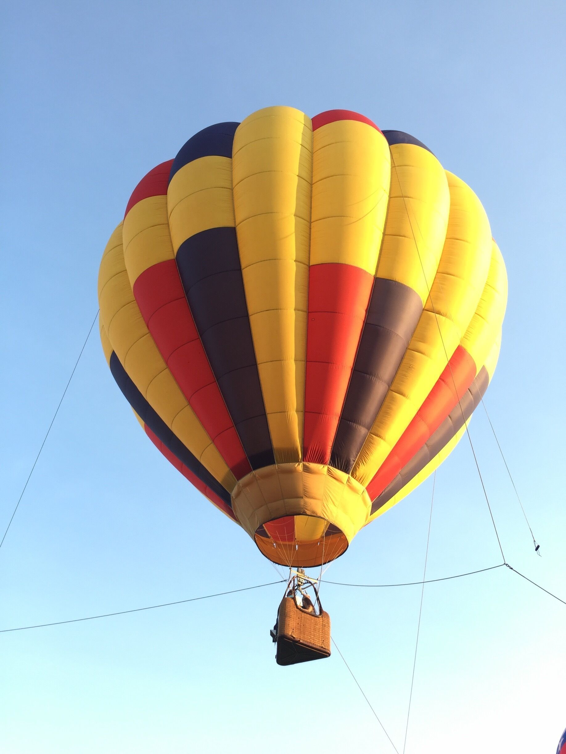 WRAL Freedom BallonFest. http://www.wralfreedomballoonfest.com