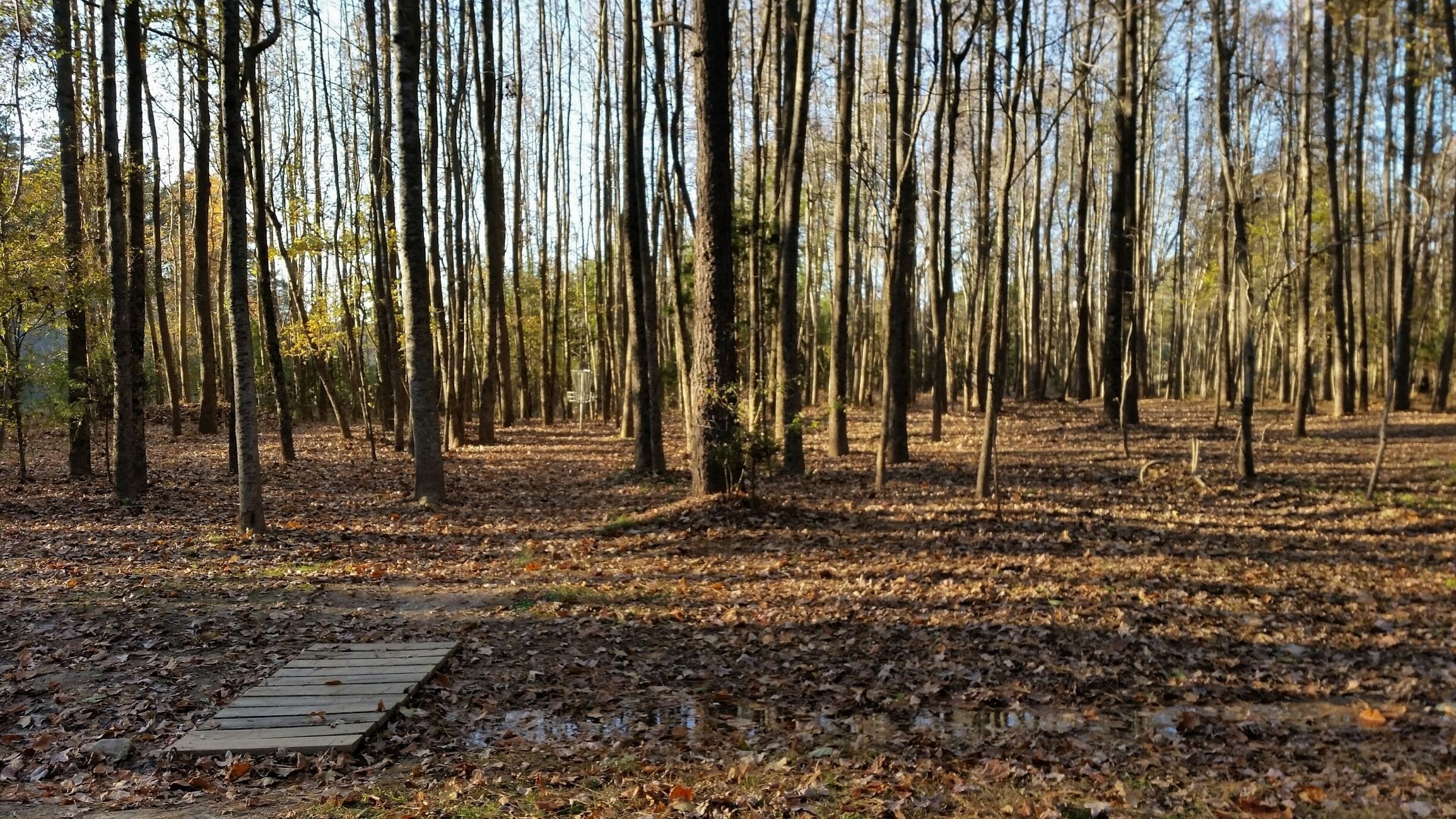 There's a 9 hole disc golf on Centennial Campus at NC State University. This course a bit more diverse than others in the area.