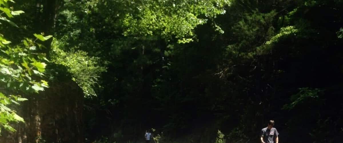 The sycamore trail is fairly easy and about 8 miles. It's very shaded and follows a creek for a while