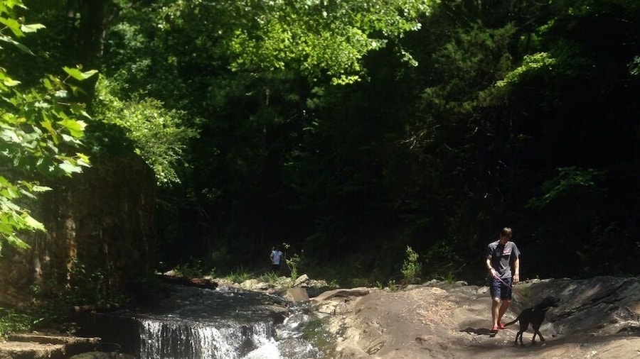 The sycamore trail is fairly easy and about 8 miles. It's very shaded and follows a creek for a while