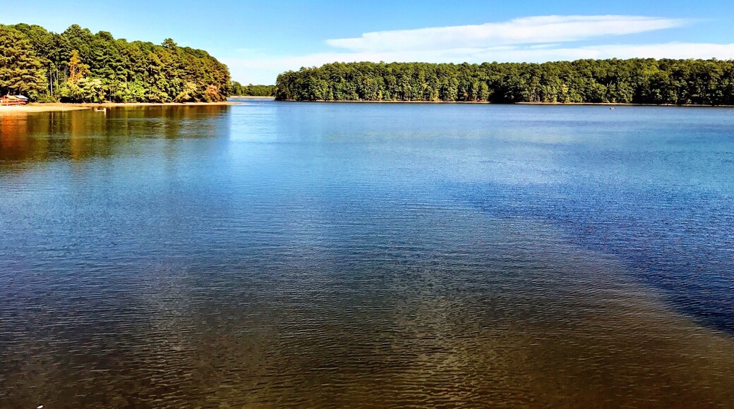 Spent a beautiful fall day at Lake Johnson in Raleigh, North Carolina.