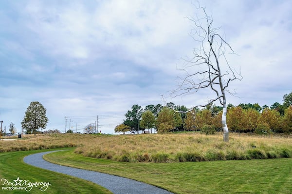 Great place to visit during beautiful weather and its free only pay for special event. there alot of art displays outside and indoor. also alot of walking trails so u can bring ur dog.