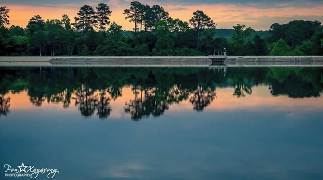 Beautiful park to hike or rent kayaks and have very scenic trails. I went there during sunrise.